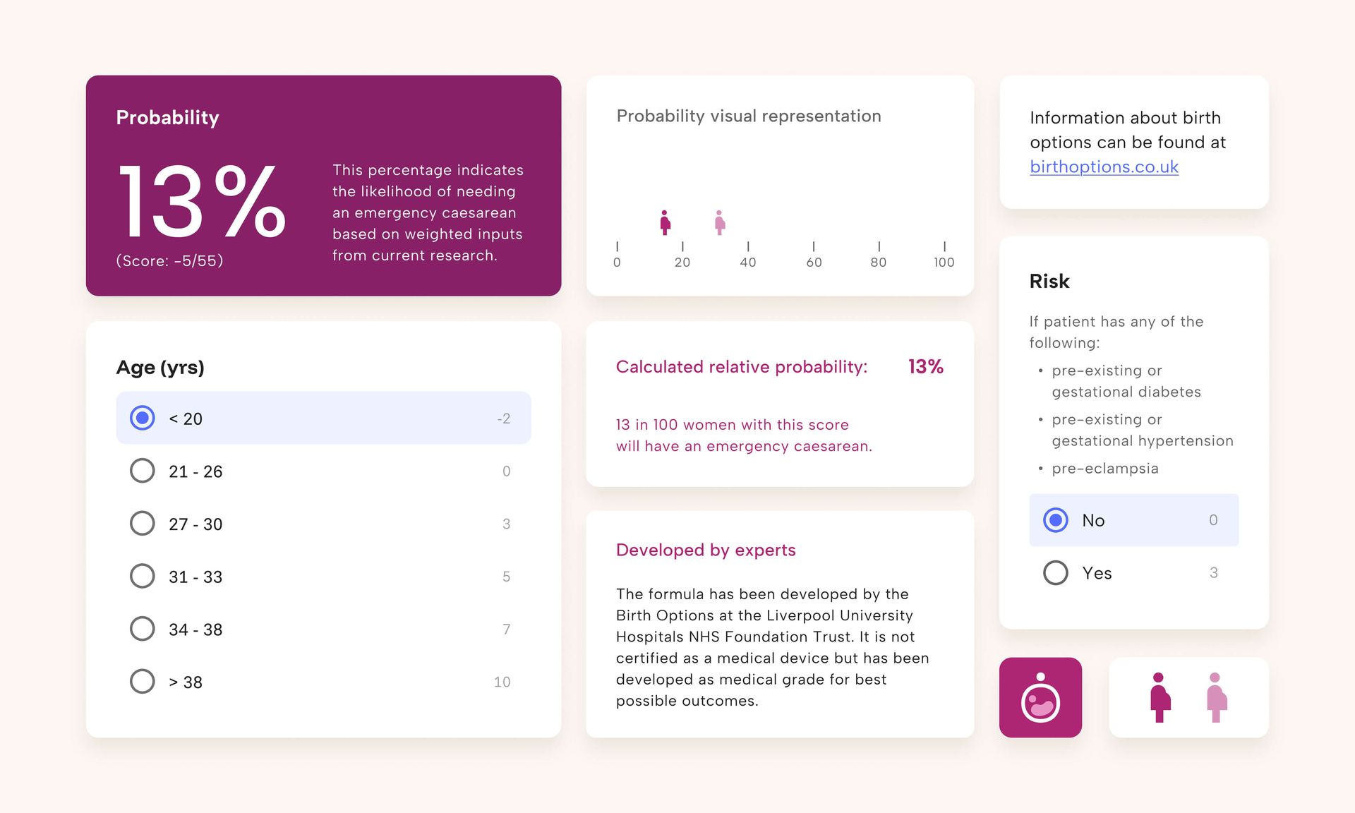 Birth Options design visual system