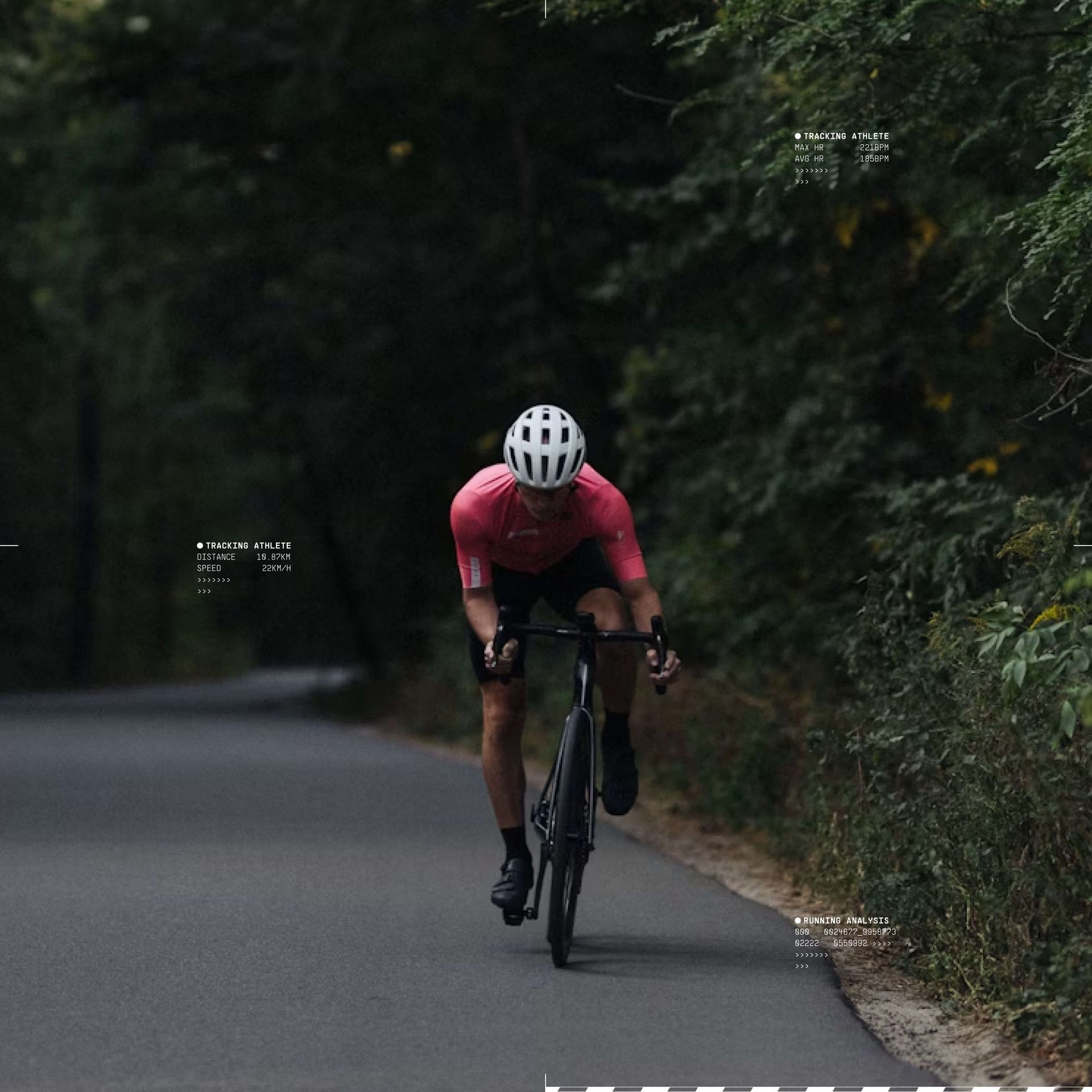 Cyclist on a bike in a road with woods in the background