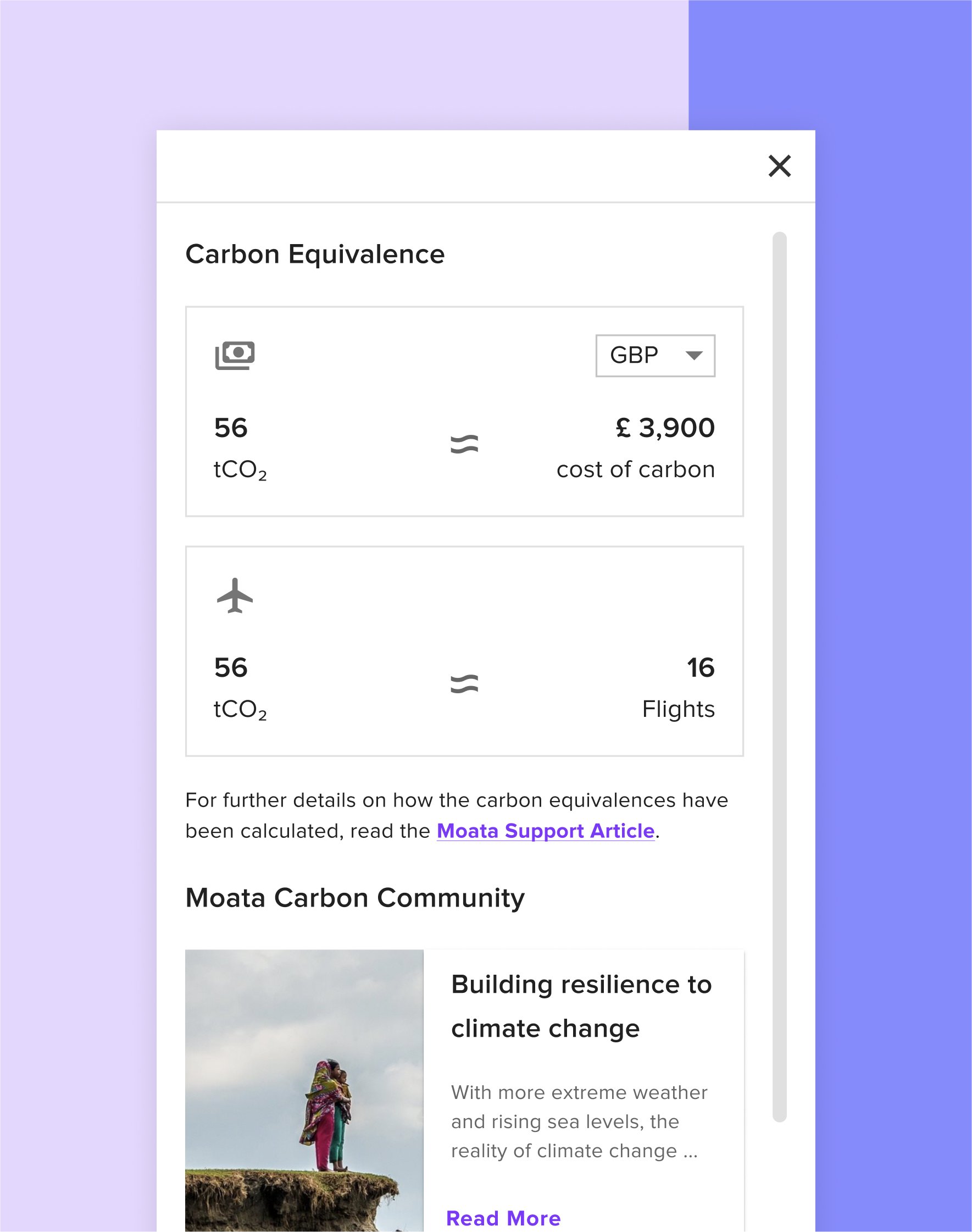 Carbon equivalence in euros and in flights